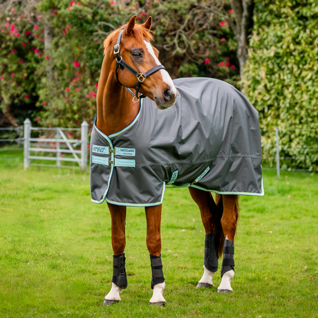 Horseware Ireland Amigo Hero 600D Ripstop Fleece Lined 50g Rug #colour_shadow-blue-haze-navy