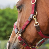 Kincade Braided Leather Headcollar #colour_maroon