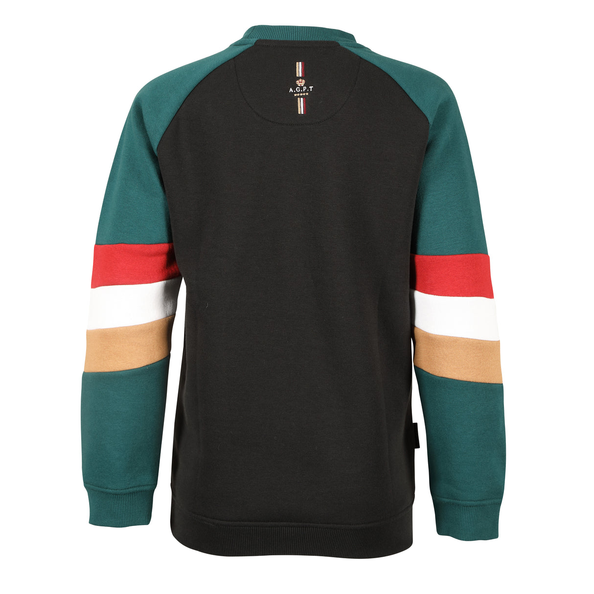 Shires Aubrion Team Young Rider Sweatshirt #colour_black