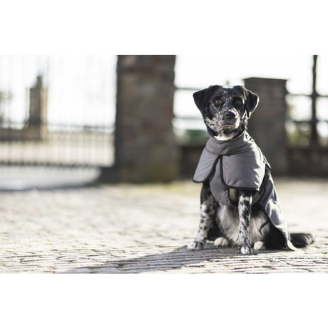 HKM Dog Coat With Fleece Lining -Buddy- #colour_deep-grey