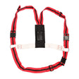 Agrimark Deluxe Anti-Chaffe Ram Harness #colour_red-with-black-stripe