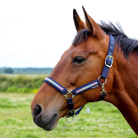 Hy Equestrian Mystic Head Collar #colour_navy-rainbow-dust