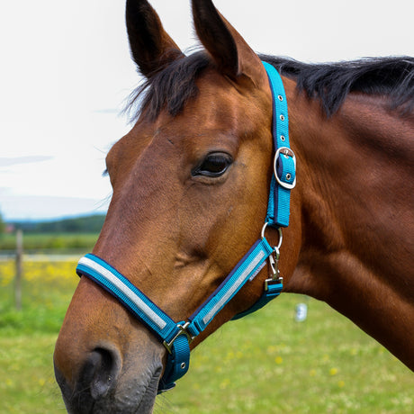 Hy Equestrian Mystic Head Collar #colour_teal-silver-dust