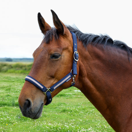 Hy Equestrian Mystic Head Collar #colour_navy-rose-dust