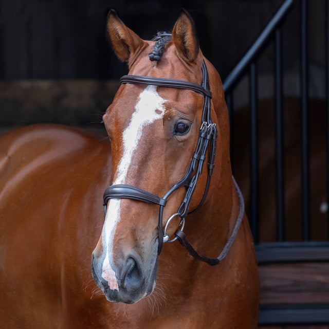 Shires Velociti RAPIDA Rolled Padded Cavesson Bridle #colour_havana