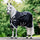 Horseware Ireland Amigo Bravo 12 Original 0g Lite Turnout Rug #colour_black-titanium-grey-silver