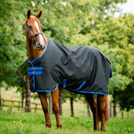 Horseware Ireland Amigo Ripstop 900 Fleece Lined 50g #colour_black-classic-blue