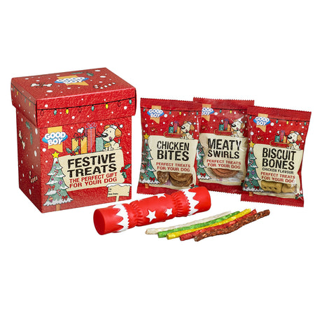 Good Boy Festive Treats Gift Box