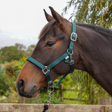 GS Equestrian Padded Head Collar #colour_bottle-green