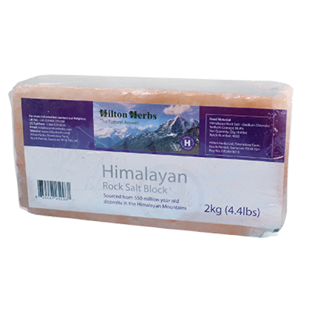 Hilton Herbs Salt Block