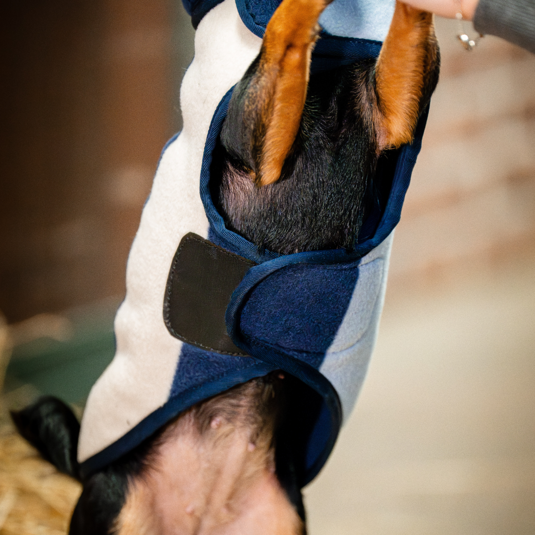 Horseware Ireland Signature Dog Fleece #colour_whitney-navy