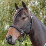 GS Equestrian Padded Head Collar #colour_black