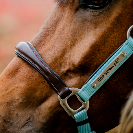 Horseware Ireland Signature Competition Headcollar #colour_brown-blue-haze