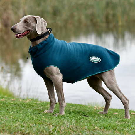 Weatherbeeta Green-Tec Fleece Zip Dog Coat #colour_dragonfly-blue-bottle-green