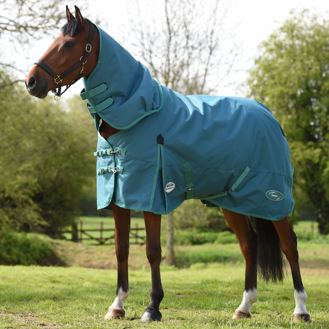 Weatherbeeta Green-Tec 1200D Detach-A-Neck Medium Turnout Rug #colour_dragonfly-blue-bottle-green