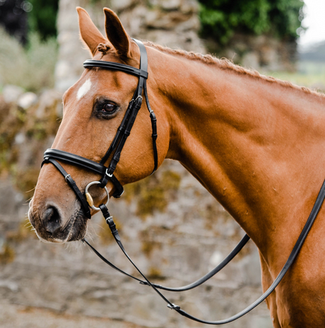 Equisential Bridle with Reins #colour_black