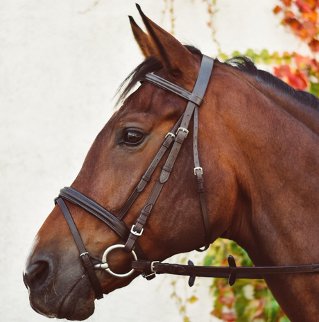 Equisential Bridle with Reins #colour_brown