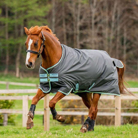 Horseware Ireland Amigo Hero 600D Ripstop Fleece Lined 50g Rug #colour_shadow-blue-haze-navy