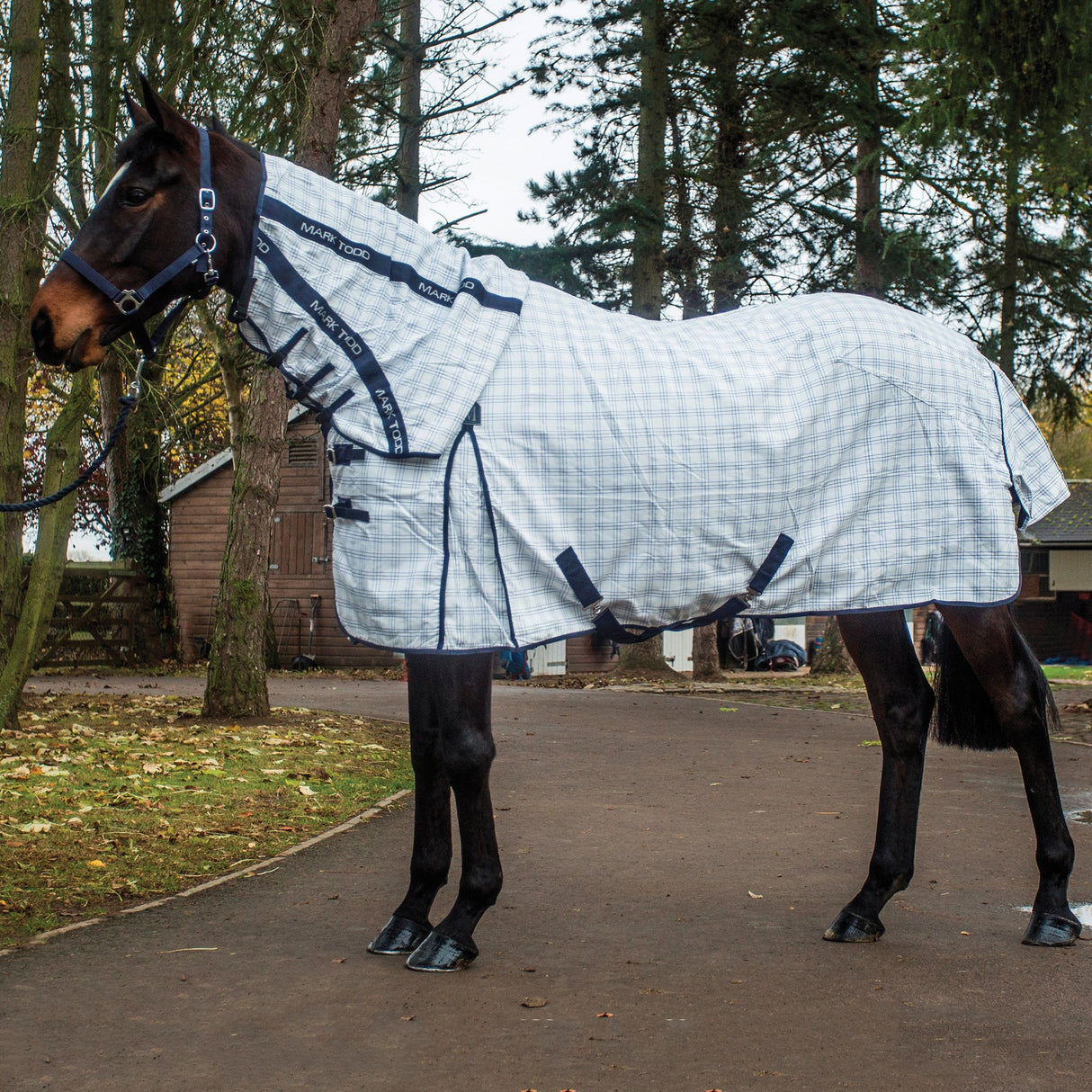 Mark Todd Comprehensive Combo Rug #colour_white-navy-gingham