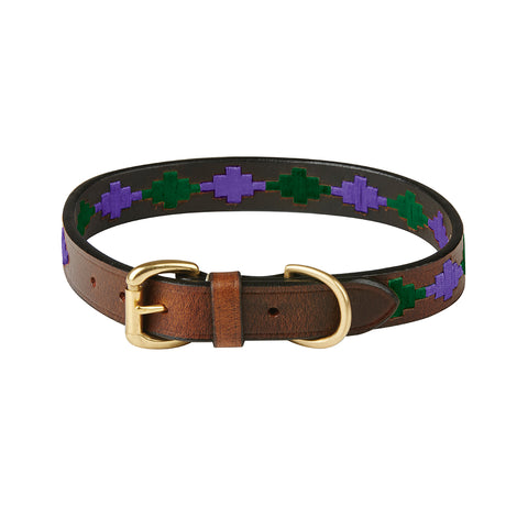 Weatherbeeta Polo Leather Dog Collar #colour_beaufort-brown-purple-teal