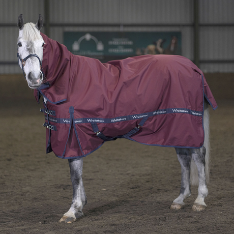 Whitaker Brockfield Fixed Neck Turnout Rug 100g #colour_wine