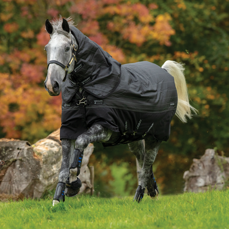 Horseware Ireland Amigo Bravo 12 Refletech Plus Medium 250g #colour_black