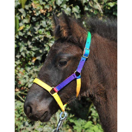 HKM Shetland Pony Head Collar