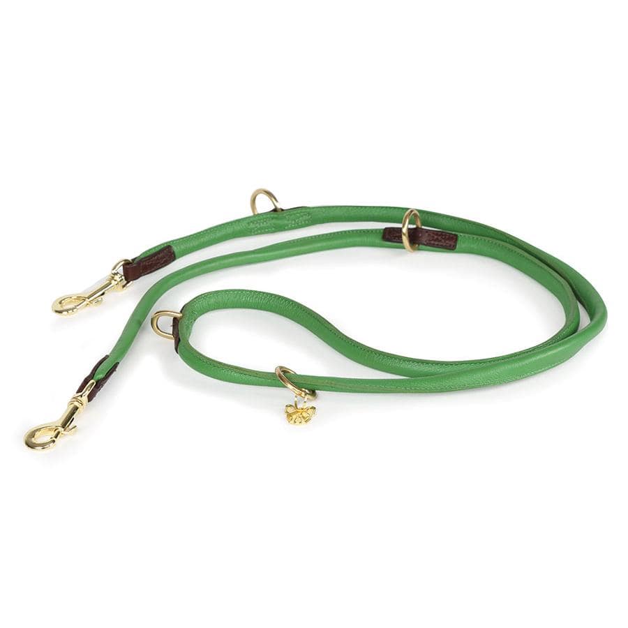 Shires Digby & Fox Rolled Leather Training Lead #colour_green