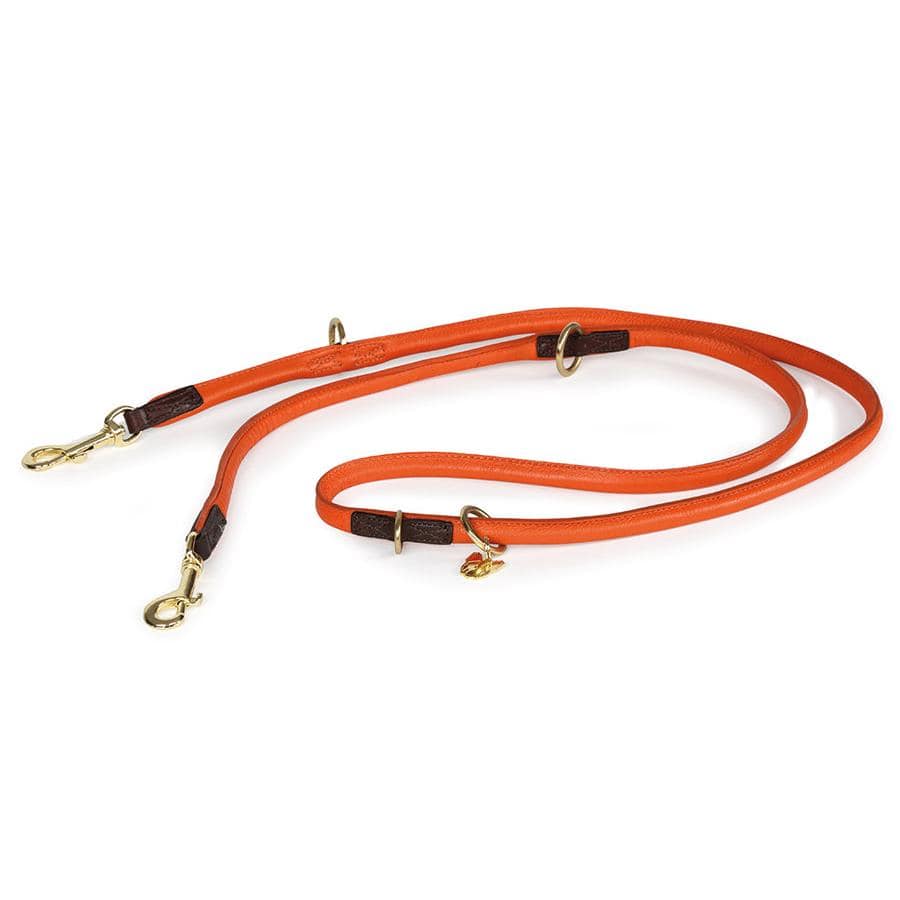 Shires Digby & Fox Rolled Leather Training Lead #colour_orange