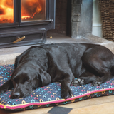 Shires Digby & Fox Waterproof Dog Bed #colour_leopard