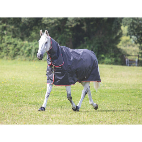 Shires Typhoon 200g Combo Turnout Rug