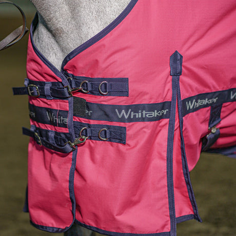 Whitaker Clifton Turnout Rug 0g #colour_pink