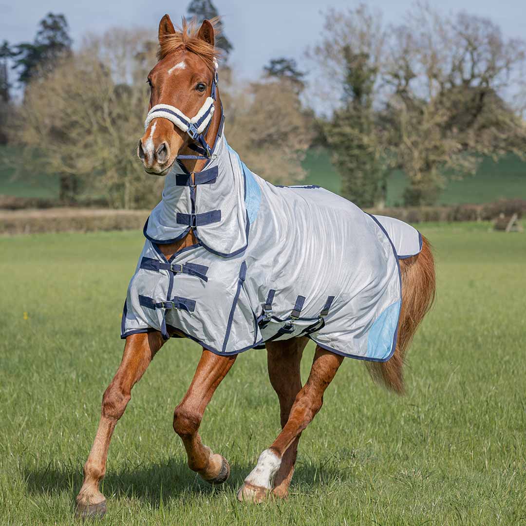 GS Equestrian Combo Fly Rug #colour_silver-blue