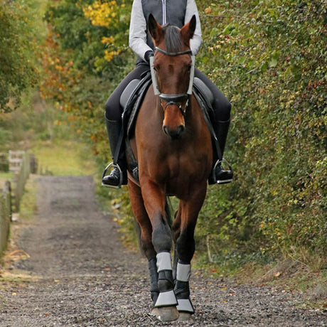 Hy Equestrian Silva Flash Neopren-Over-Reach-Stiefel