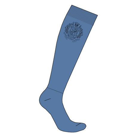 HV Polo Favouritas Socks #colour_riviera-blue