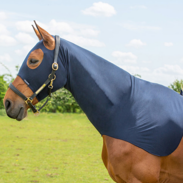 Hy Equestrian Lycra Flex Hood #colour_navy