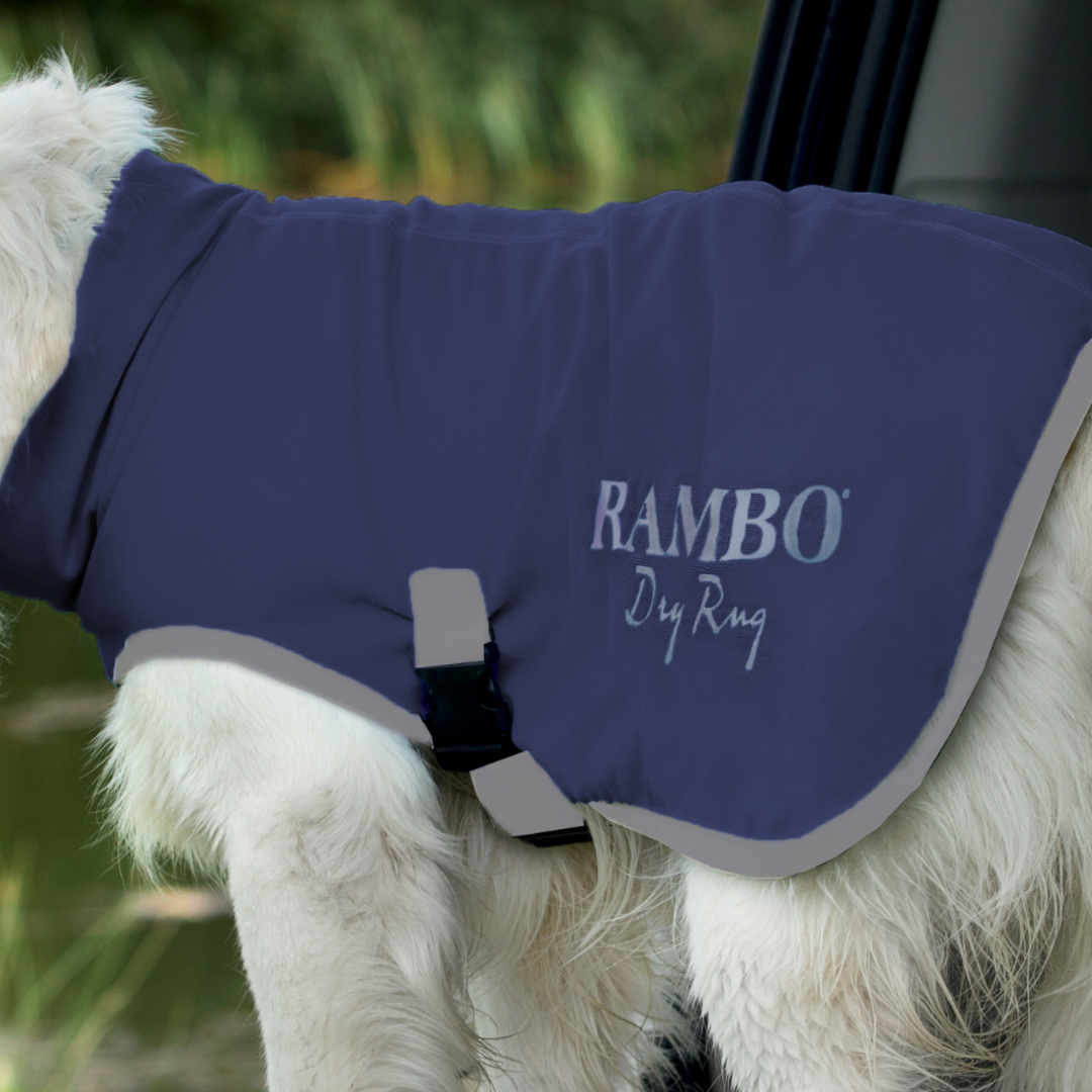 Horseware Ireland Rambo Dog Dry Rug #colour_navy-silver