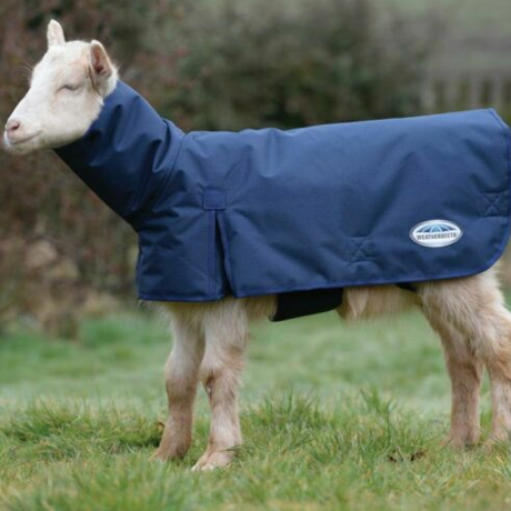 Weatherbeeta Goat Coat With Neck #colour_navy