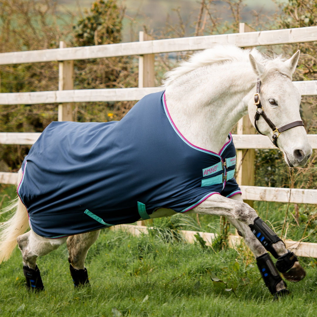 Horseware Ireland Amigo Hero 900 Pony Turnout Lite 0g #colour_dark-blue-capri-raspberry