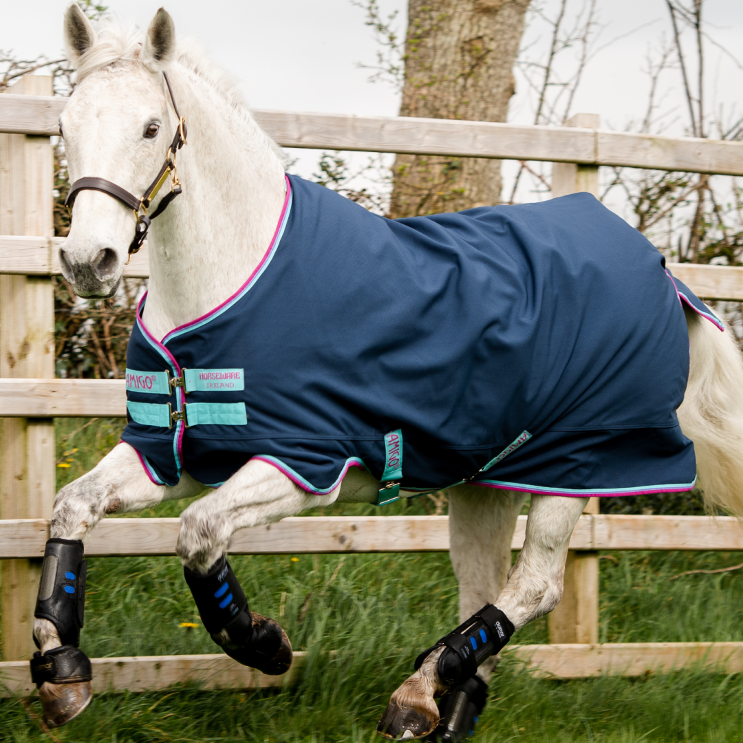 Horseware Ireland Amigo Hero 900 Pony Turnout Lite 0g #colour_dark-blue-capri-raspberry