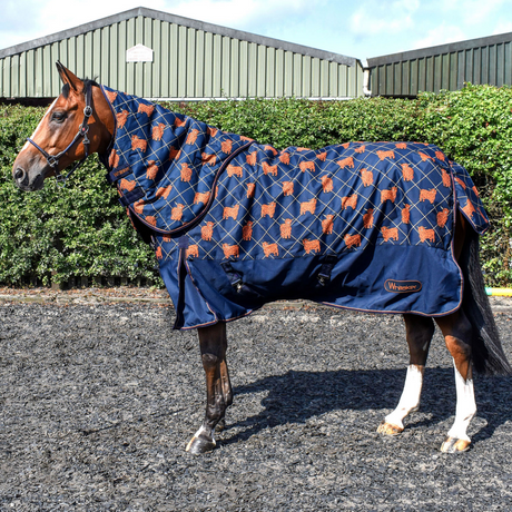 Whitaker Angus 170g Combo Turnout Rug  #colour_highland
