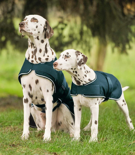 Waldhausen Dog Raincoat #colour_fir-green