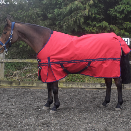 Whitaker Kirby Turnout Rug 100g #colour_red