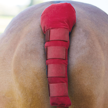 Bitz Padded Tail Guard with Velcro #colour_red