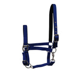 GS Equestrian Padded Head Collar #colour_royal-blue
