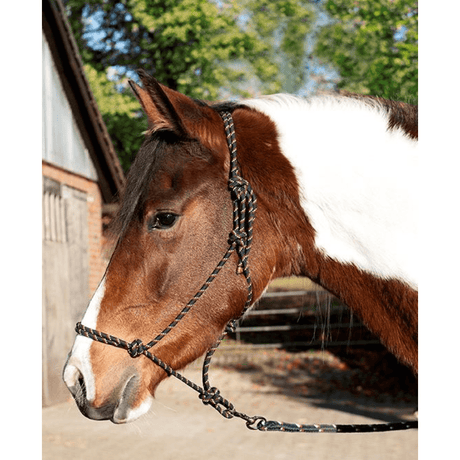 HKM Trust Rope Halter Set #colour_black