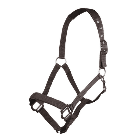 HKM Sydney Style Head Collar With Soft Padding #colour_dark-brown