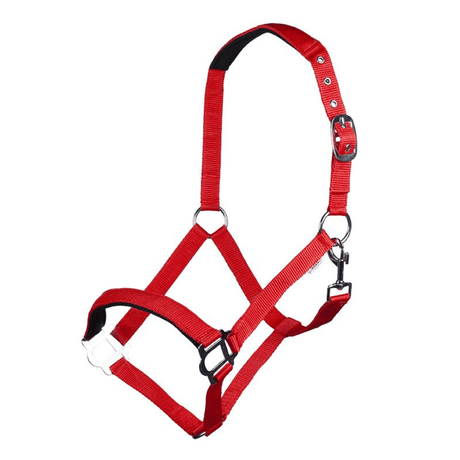 HKM Sydney Style Head Collar With Soft Padding #colour_red