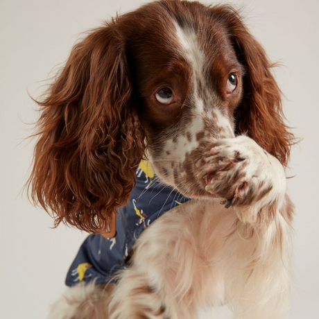 Joules Water Resistant Dog Coat #colour_navy