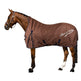 Imperial Riding Super-Dry 0g Turnout Rug #colour_walnut